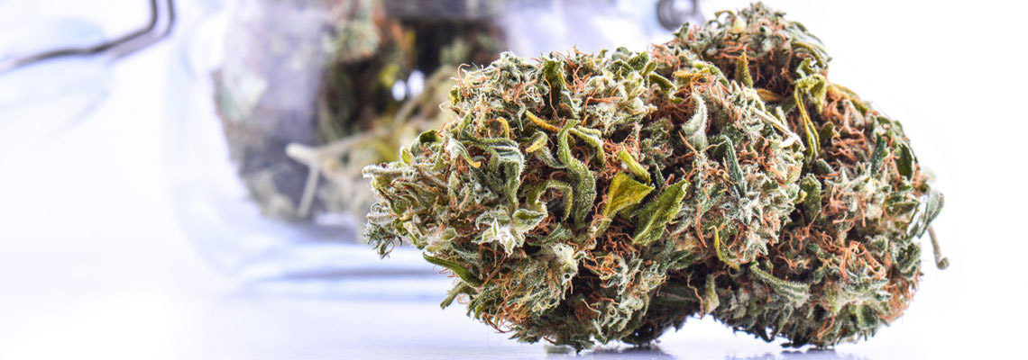 fleur de cannabis