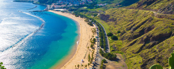 Canaries