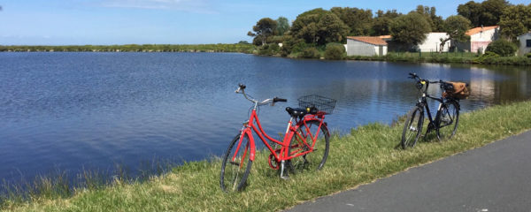 L'Ile de Ré à vélo