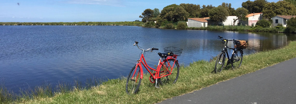 L'Ile de Ré à vélo